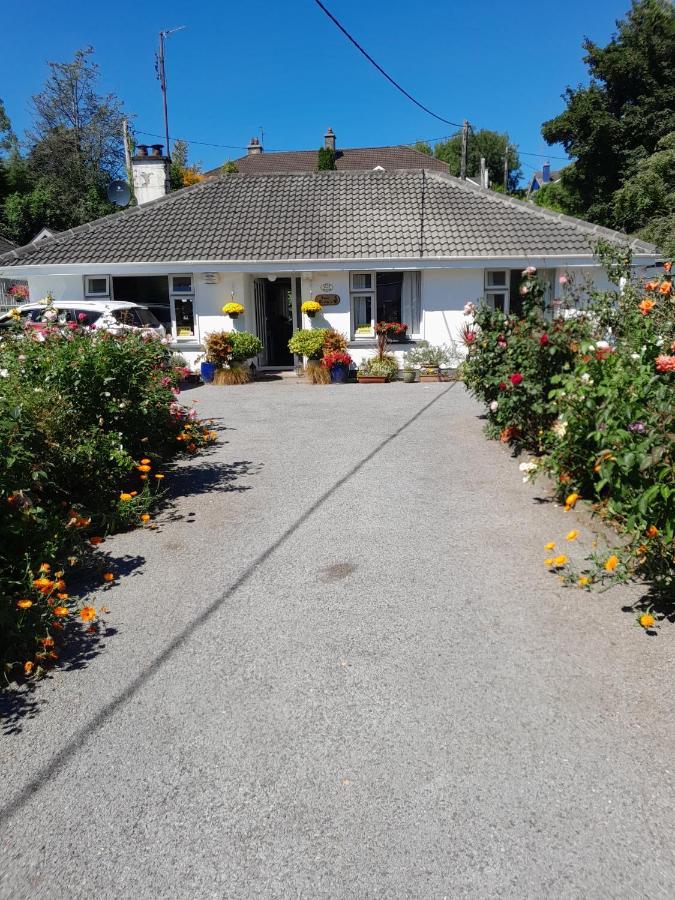 Saint Martin'S Bed And Breakfast Bandon Luaran gambar