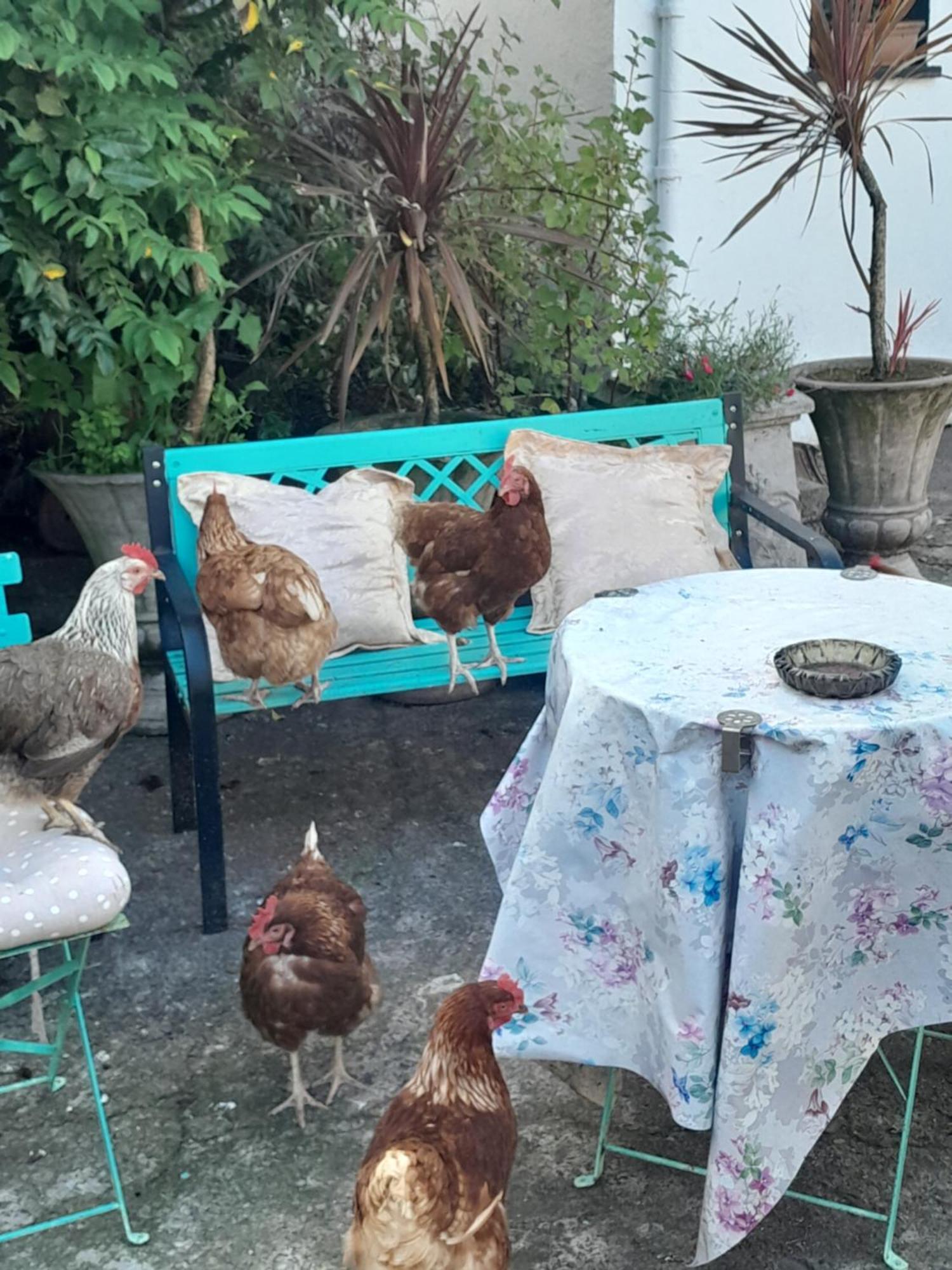 Saint Martin'S Bed And Breakfast Bandon Luaran gambar