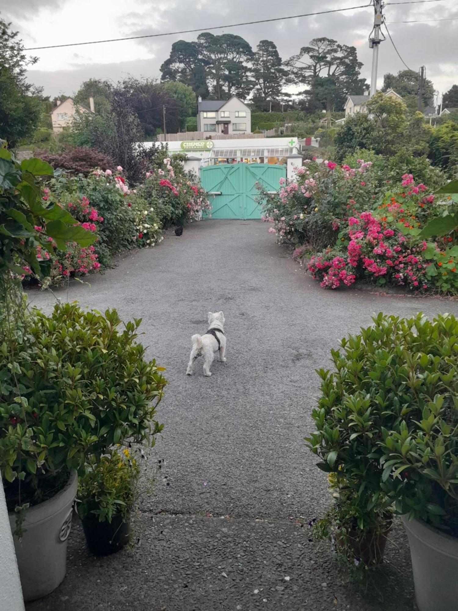 Saint Martin'S Bed And Breakfast Bandon Luaran gambar