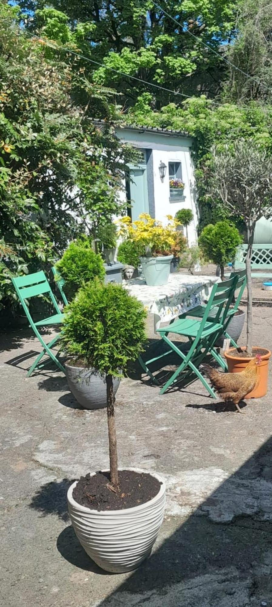 Saint Martin'S Bed And Breakfast Bandon Luaran gambar