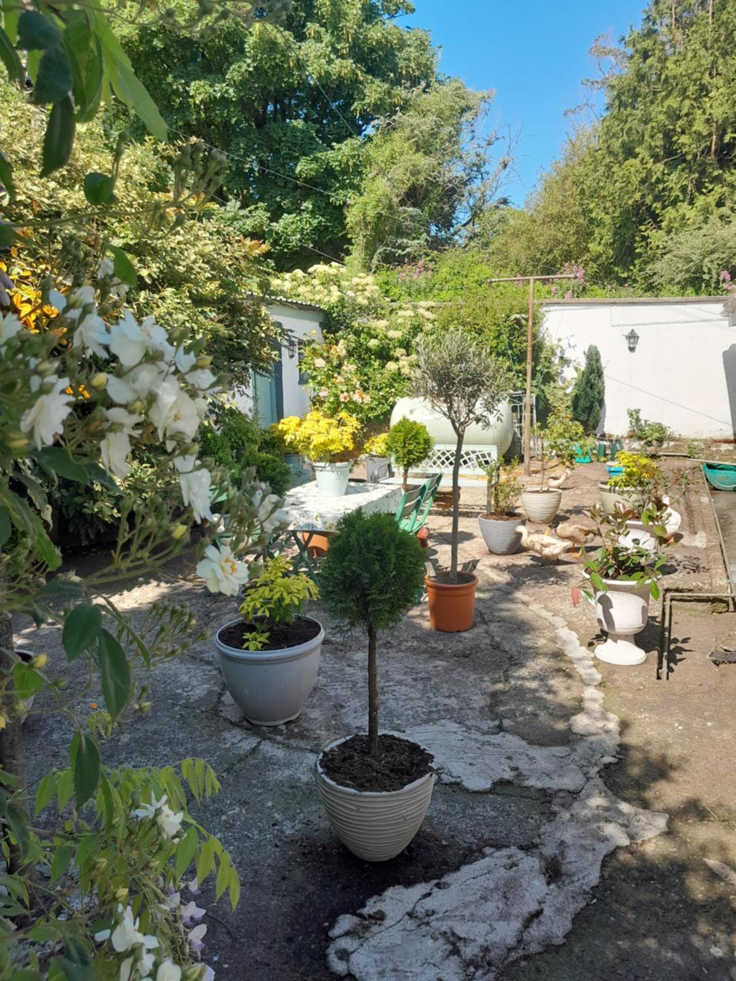 Saint Martin'S Bed And Breakfast Bandon Luaran gambar